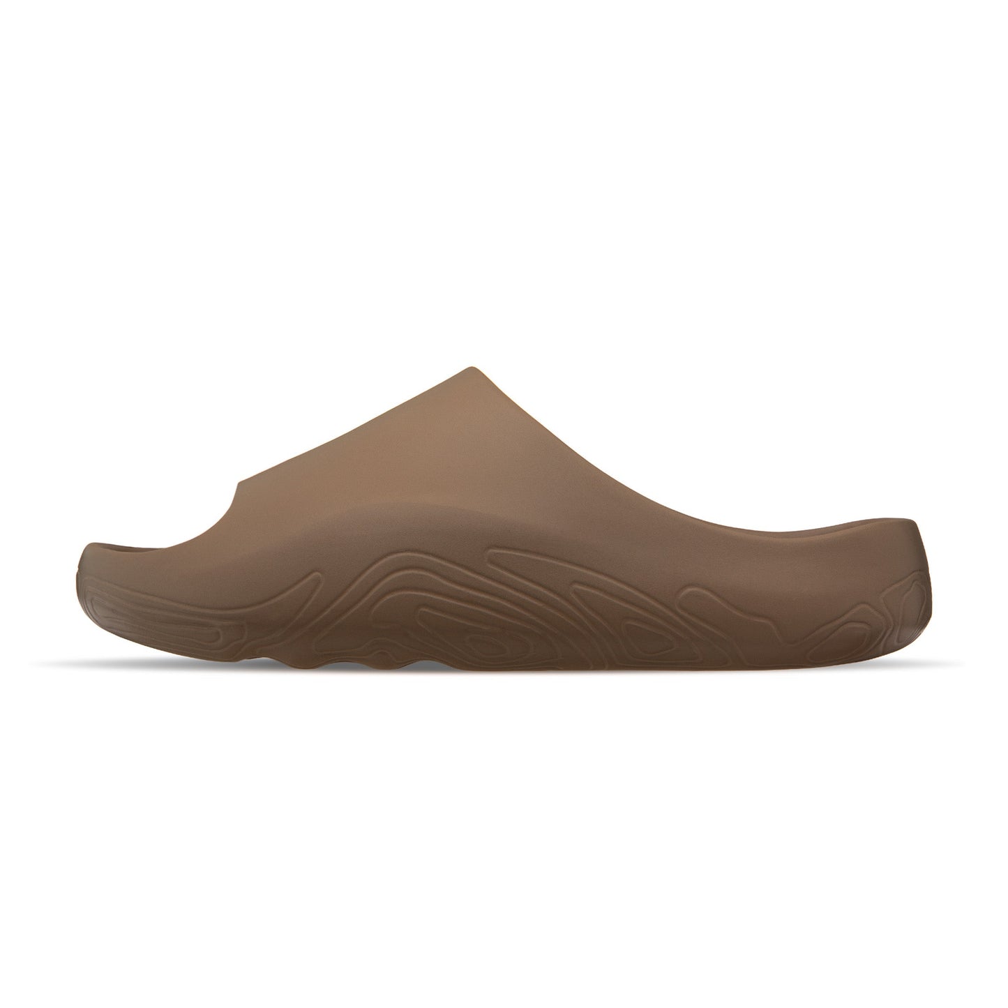 RAPIDS Slide - Sargass