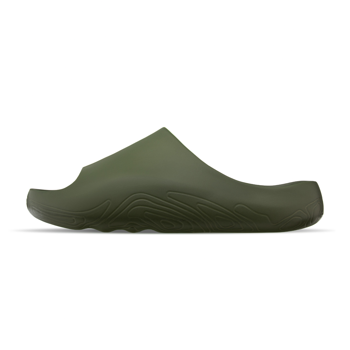 RAPIDS Slide - Algae